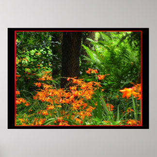 Pôster Flores Laranja na Floresta