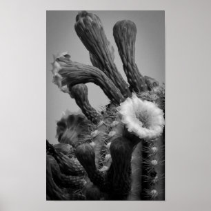 Pôster Flores marcianas