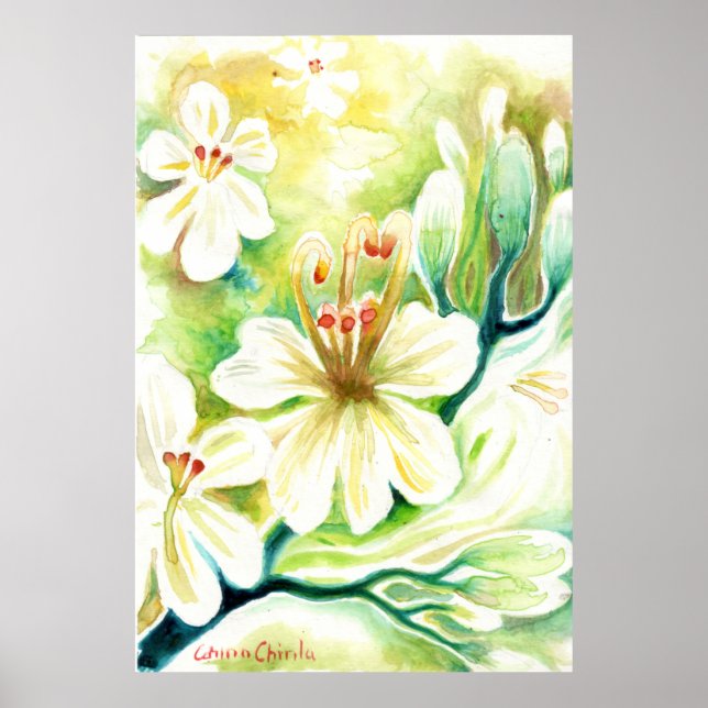 Poster Flores Moringa (Frente)