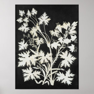 Poster Flores na silhueta