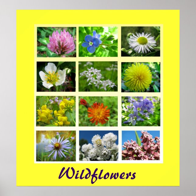 Poster Flores naturais (Frente)