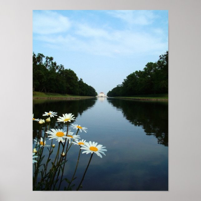 Poster Flores Ninfhenburg (Frente)