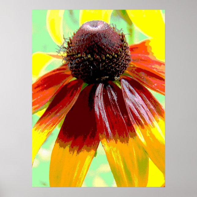 Pôster Flores no Graden Grow (Frente)