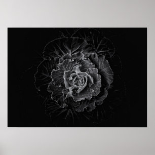 Poster Flores no Quintal em Preto e Branco Nº 100