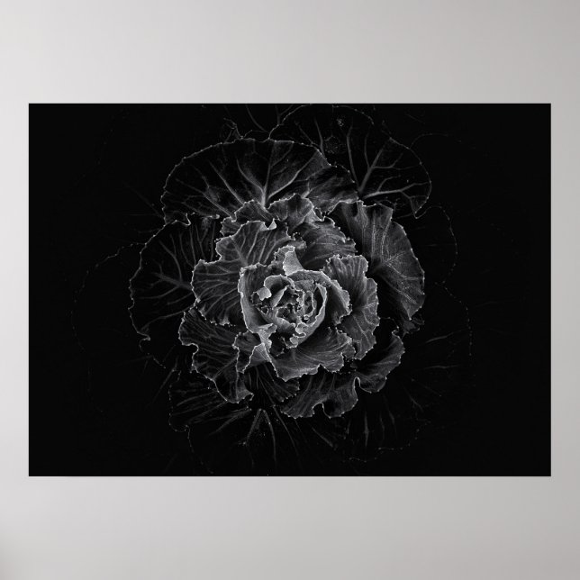 Poster Flores no Quintal em Preto e Branco Nº 100 (Frente)