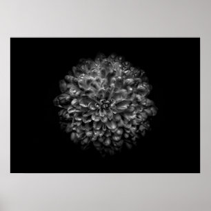 Poster Flores no Quintal em Preto e Branco Nº 46