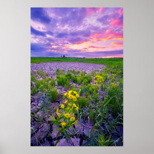Poster Flores   North Dakota Red River Valley