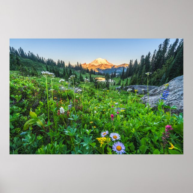 Poster Flores | Parque Nacional Monte Rainier (Frente)