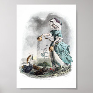 Poster Flores Personificadas - Papoila