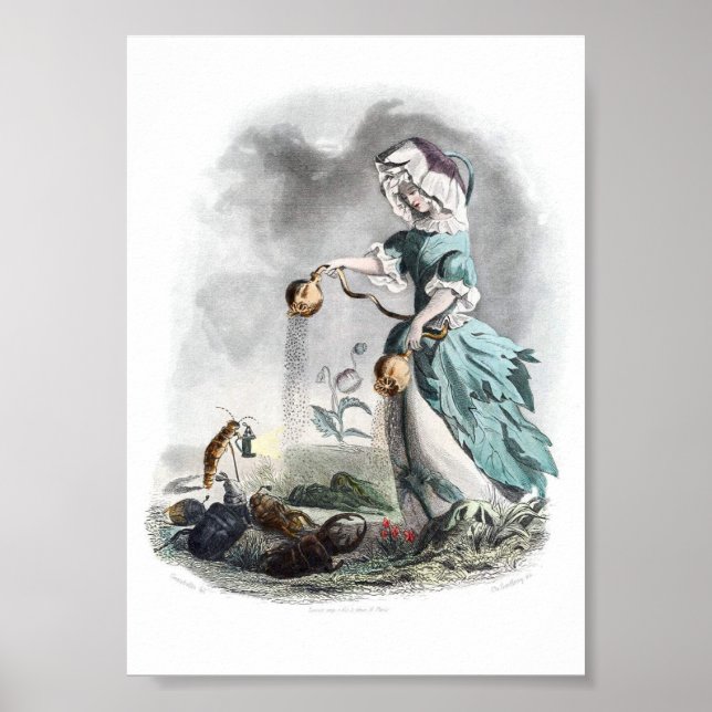 Poster Flores Personificadas - Papoila (Frente)