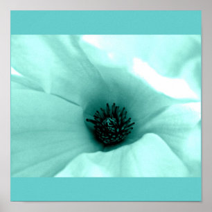 Pôster Flores Poster-Flor-Pintadas 4
