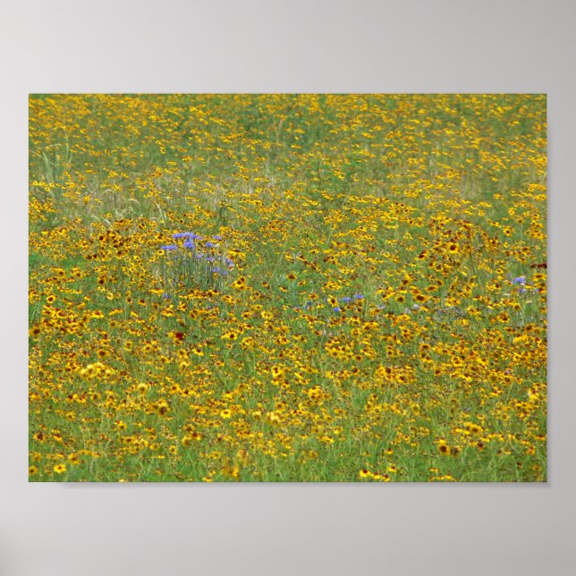 Poster Flores Prairie, Indiana (Frente)