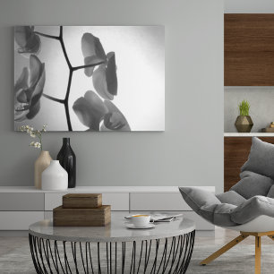 Poster Flores preto e branco da orquídea na haste