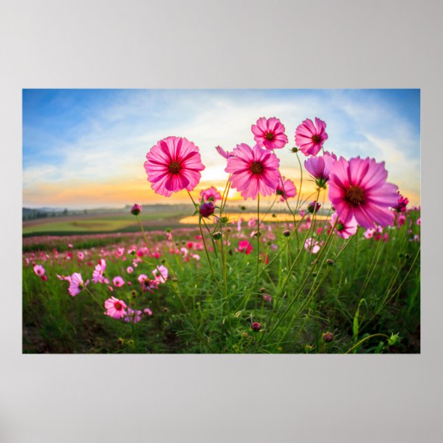 Poster Flores |Província de Chiang Rai, Tailândia (Frente)