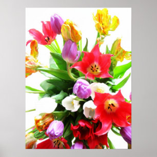 Pôster Flores românticas da tulipa do primavera