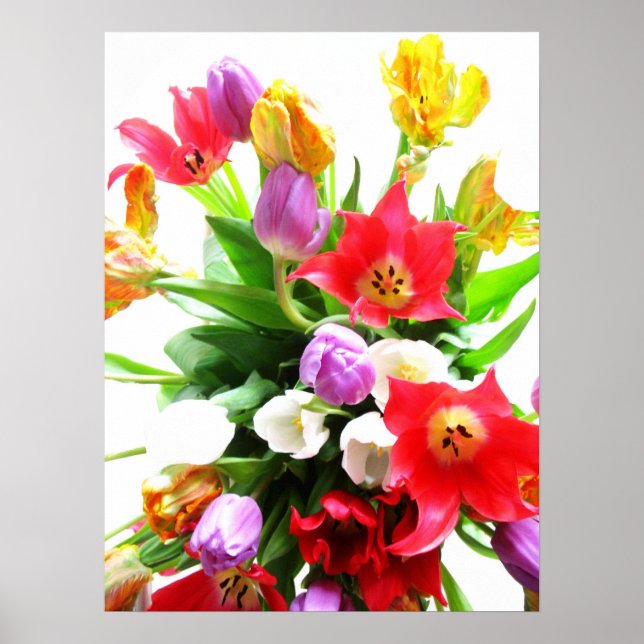 Pôster Flores Românticas de Primavera (Frente)