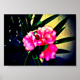 Poster Flores Rosa