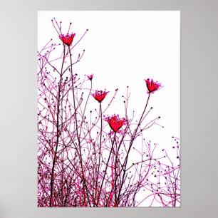 Pôster flores rosa