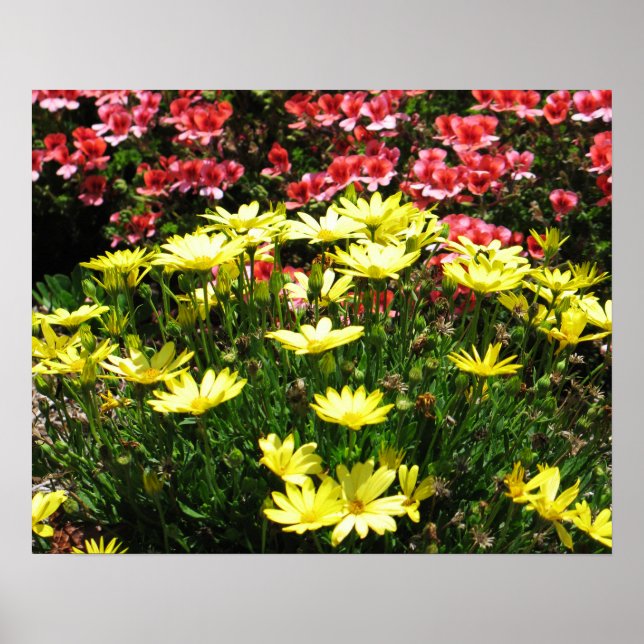 Poster Flores Rosa e Amarelo (Frente)