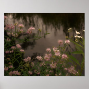 Pôster Flores Rosa Por Arte Fotográfica Em Fluxo