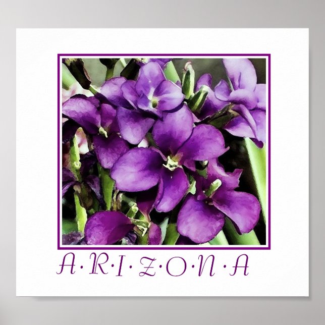 Pôster flores roxas da Arizona estampadas (Frente)