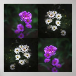 Poster Flores Roxas e Brancas