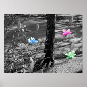 Pôster Flores Selecionadas