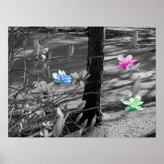 Pôster Flores Selecionadas (Frente)