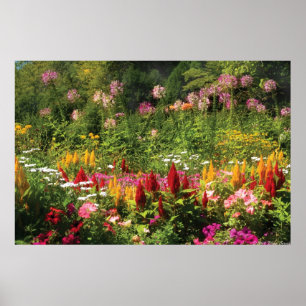 Poster Flores Selvagens