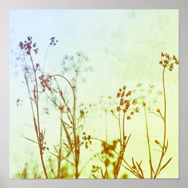 Poster Flores Selvagens de Pastel Moles Abstrato modernos (Frente)