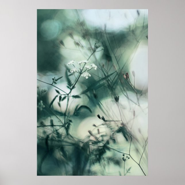 Poster Flores Selvagens Moles de Teal Moderno Abstrato Dr (Frente)