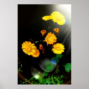 Poster Flores selvagens no sol