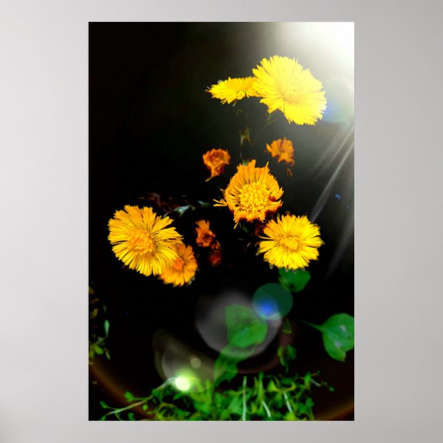 Poster Flores selvagens no sol (Frente)