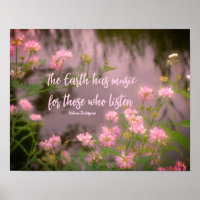 Flores Selvagens Perto do Brook Earth Music Inspir