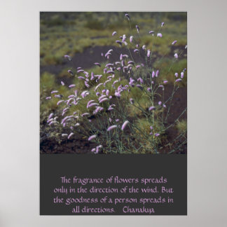 Pôster flores silvestres