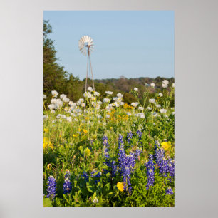 Poster Flores Silvestres e Moinho de Vento no Texas Hill