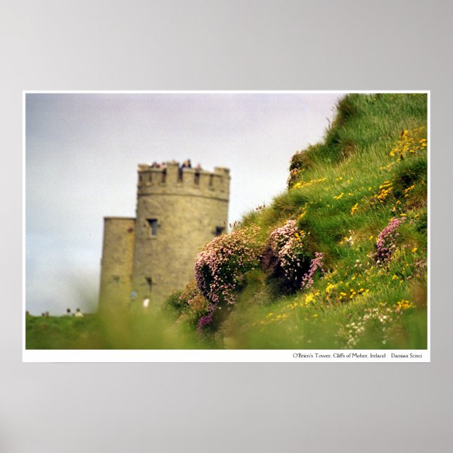 Poster Flores silvestres nas algemas de Moher, Irlanda (Frente)