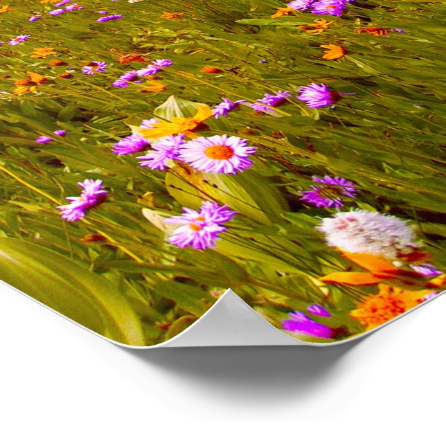 Poster Flores Silvestres no Prado da Montanha - Amarelos  (Borda)