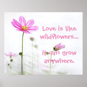 Poster Flores silvestres rosa