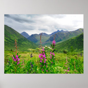 Poster Flores Silvestres Vale do Alasca