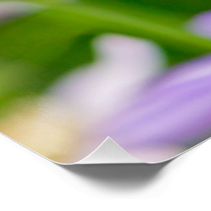 Pôster Flores Sonhadoras — Roxo