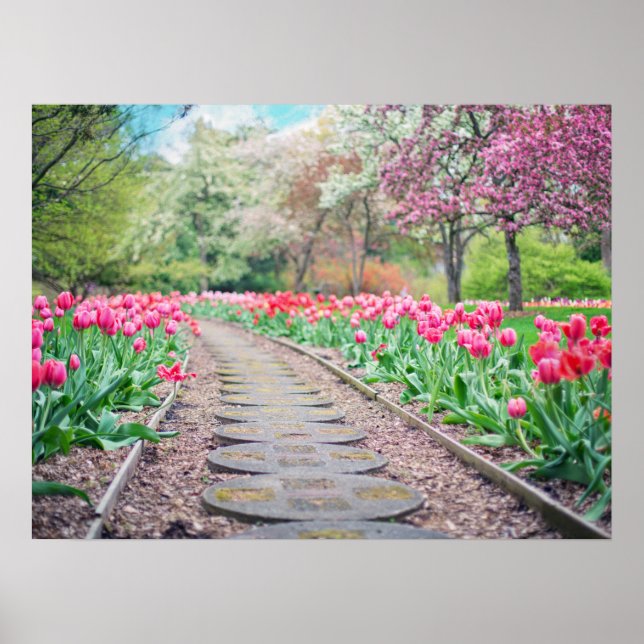 Poster Flores Springtime Ao Longo Do Caminho Da Pedra (Frente)