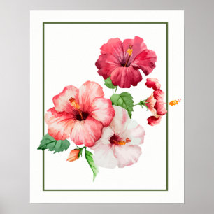 Poster Flores tropicais do hibiscus da aguarela