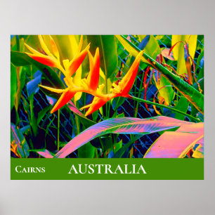 Poster Flores tropicais heliconia Queensland Austrália
