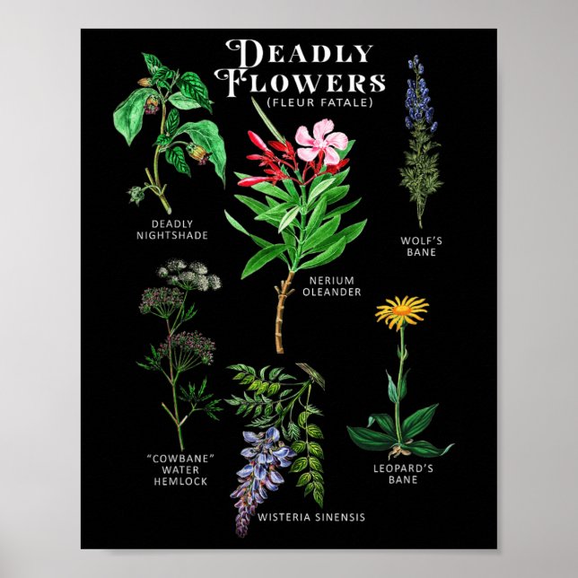 Poster Flores Venenosas Fleur Fatale Fêrea Halloween Gif (Frente)