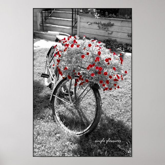Poster Flores Vermelhas Bicicletas Negras e Brancas Poste (Frente)