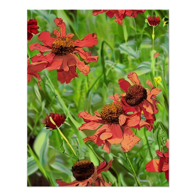 PÔSTER FLÔRES VERMELHAS DE RUDBECKIA (Frente)