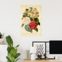 Flores Vintage, Camellias e Narciso, Redoute