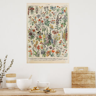 Poster Flores Vintage por Adolphe Millot