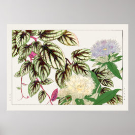 Poster Flores Vitus e Stokesia de Tanigami Konan,